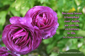 Spiritual Quote – Dr. Charles Stanley