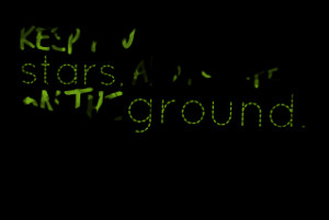 2874-keep-your-eyes-on-the-stars-and-your-feet-on-the-ground.png