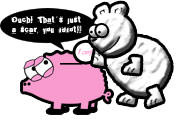 Funny Pig Sayings