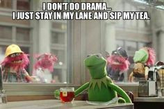 Kermit the frog memes - But that's none of my business though More
