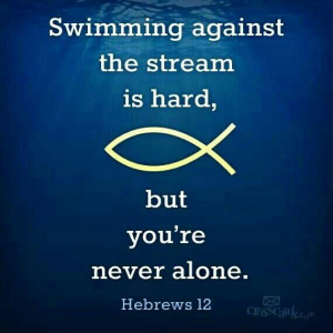Swimming against the stream is hard, but you're never alone.