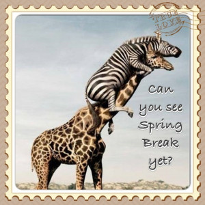 Spring Break Funny Quotes Spring break!