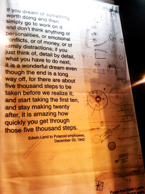 Edwin Land Great Quote