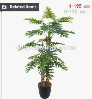 groothandel indoor bonsai bomen planten bonsai bonsai plant te koop