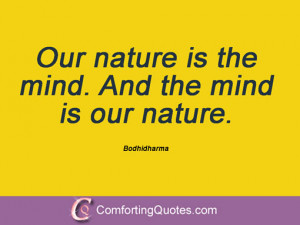 Bodhidharma Sayings