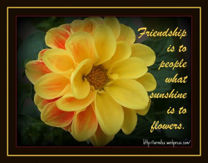 Friendship Is To People What Sunshine Is To Flowers