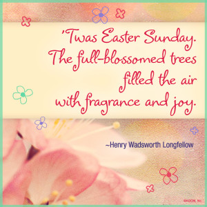 March 20, 2014 by bluemountainecards