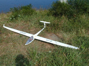 chogyam trungpa rinpoche quotes zeitgeist he d gone out of