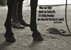 Equestrian quote, 