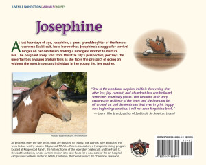 Josephine ∼ A Tale of Hope and Happy Endings