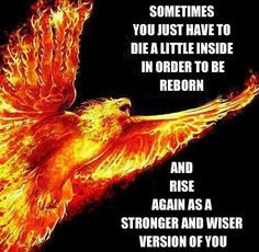 ... quotes phoenix quotes quotes ideas favorite quotes quotes motivation 1