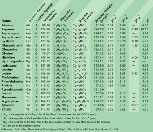 Amino Acid Chart