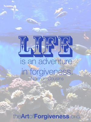 Life is an adventure in forgiveness. ” – Norman Cousins