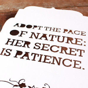 Hand-cut-Paper-cut-nature-quote-typography-detail