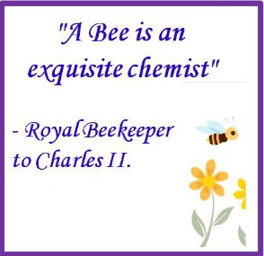 bee quotes about wonderful and amazing bees