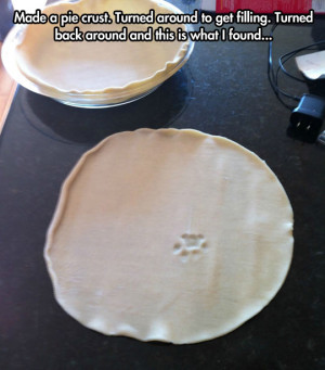 funny-picture-pie-crust-paw-print