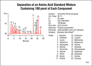 Amino Acid Mixture