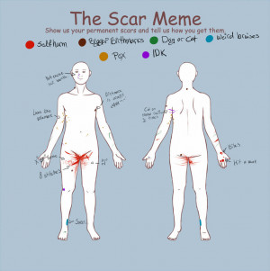 Emo Scar Meme is Emo by SillyTheWolf