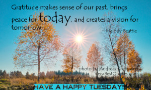 Good Morning Quotes about Gratitude for Tuesday