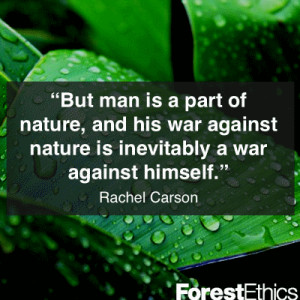 Rachel Carson Quote ~ Nature