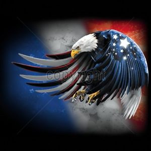 ... Long-Sleeve-Shirt-Flying-American-Eagle-USA-Flag-Wings-Freedom-July-4