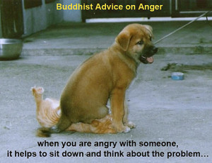Funny Picture -- Buddhist Anger Management