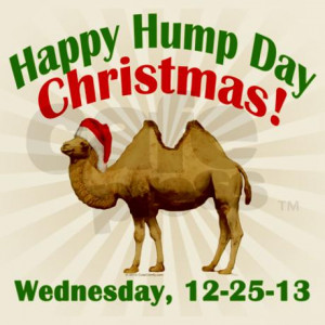 Animal Photos Camel Hump Day