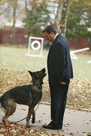 Blue Bloods - Season 4 - 