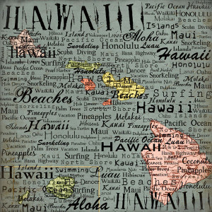 Scrapbook Customs - United States Collection - Hawaii - 12 x 12 Paper ...