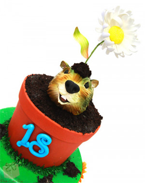 Close-up of cute groundhog and flower in flowerpot