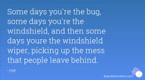 Some days you're the bug, some days you're the windshield, and then ...