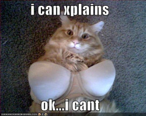 LOL CATS - lol-cats Photo
