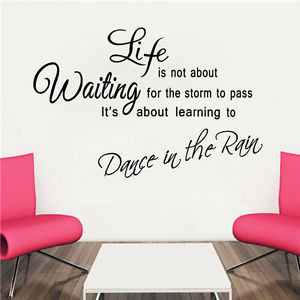 Details about Removable Vinyl Wall Art Quote 