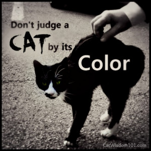 Posted in Cats , Feline Fine Art , Holidays , Photo quote de jour