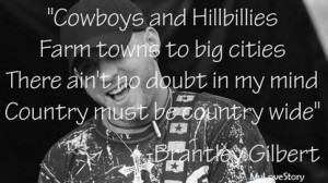 Country Song Lyric Quotes 2014