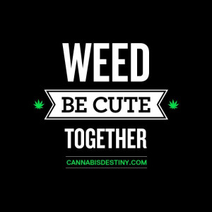 Back > Quotes For > Cute Stoner Couple Quotes