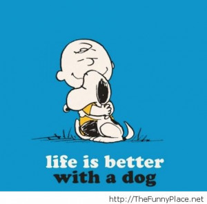 ... funny dog better sled jpg iditarod dog sled sledding husky pictures