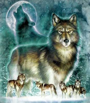 Wolf 6 Wallpaper