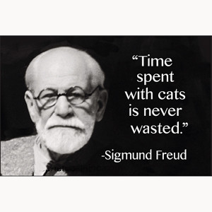 ... With Cats Is Never Wasted (Sigmund Freud) funny fridge magnet (ep