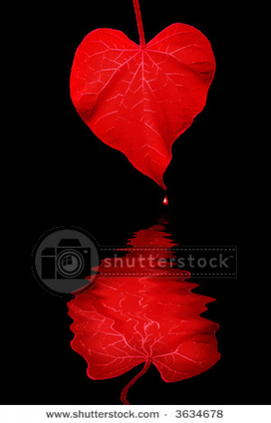 Related Pictures pin red blood drops with black skull and crossbones ...