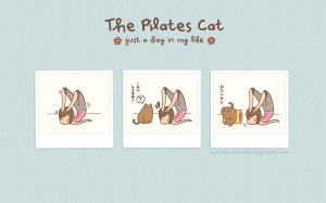 the pilates cat: just a day in my life