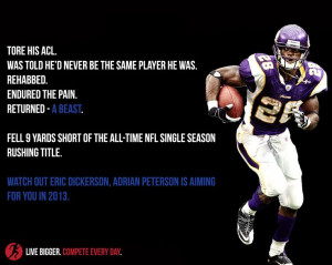 Adrian Peterson set the bar high for recovery from an ACL injury. The ...
