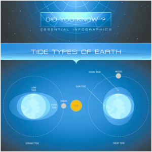 moon and sun influence tidal changes on the earth. The highest tides ...
