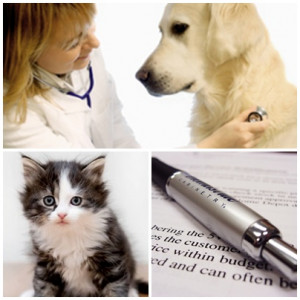 Finding the Best Pet Insurance Quotes Online