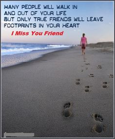 Funny Quotes Contact Dmca