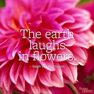 Flower Quotes