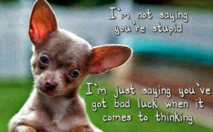 not saying you're stupid. I'm just saying you've got bad luck when ...