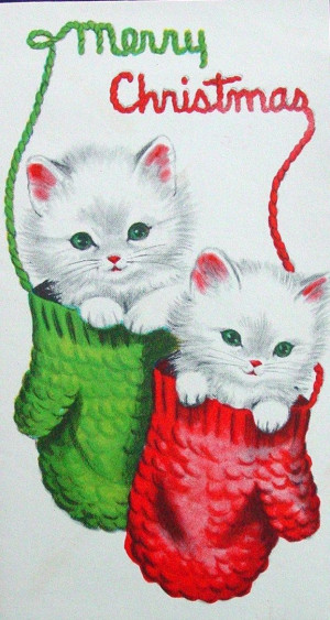 Cute Kittens in Mittens
