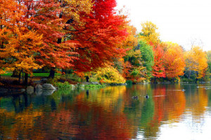 New York City Central Park