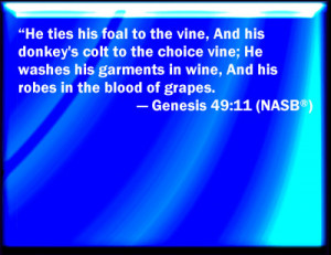 Genesis 49:11 Bible Verse Slides